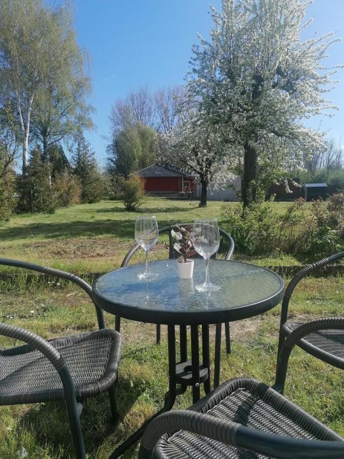 Ferienwohnung IV Sarrebriese Wanzleben-Borde Exteriér fotografie